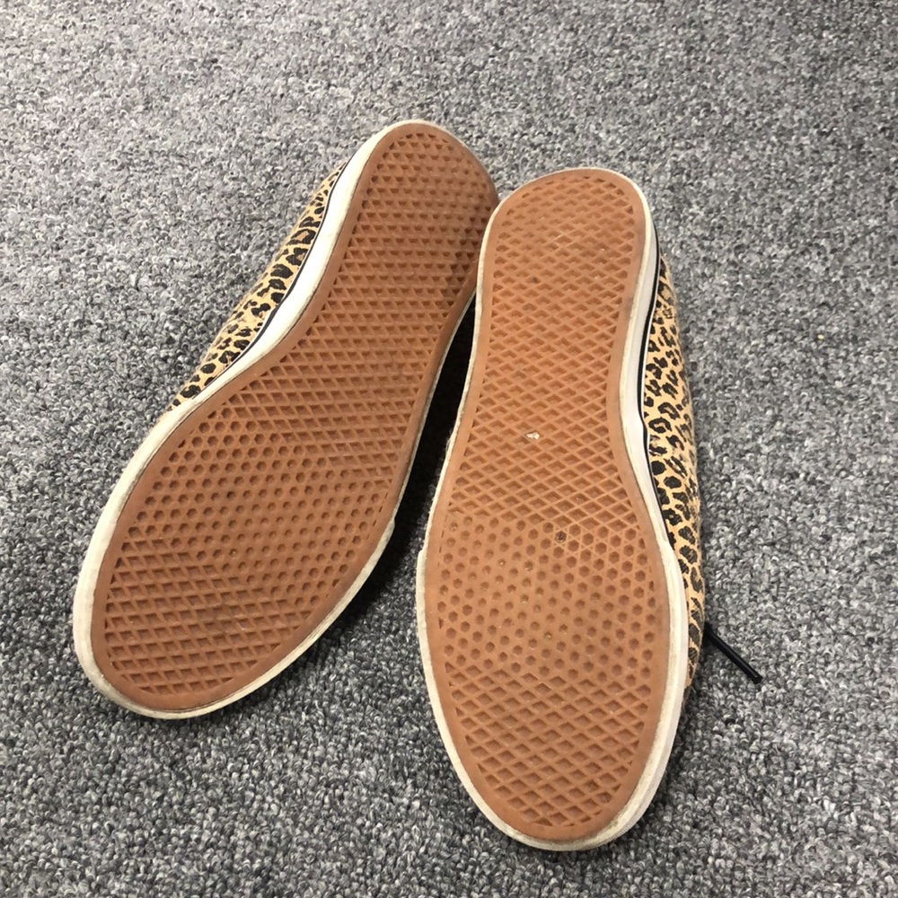 Cheetah Vans - Picture 3 of 6